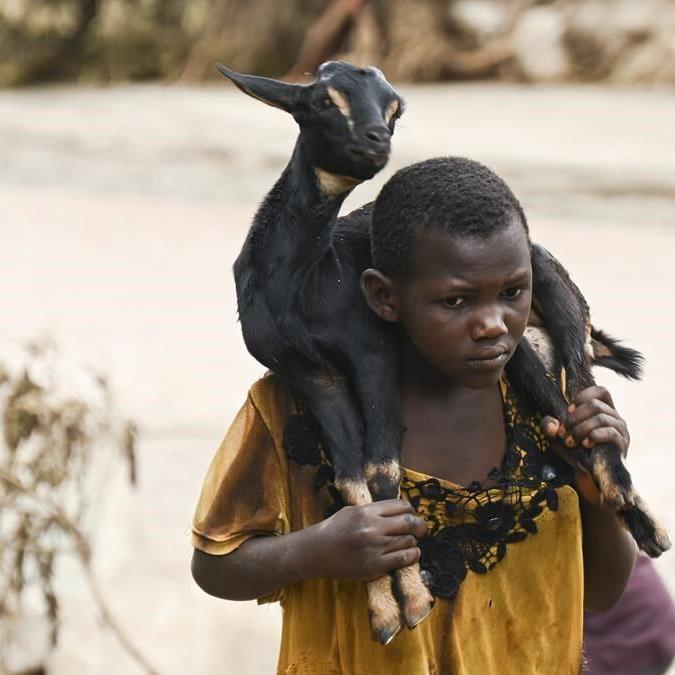 'Appalling': Southern Africa counts toll of Cyclone Freddy